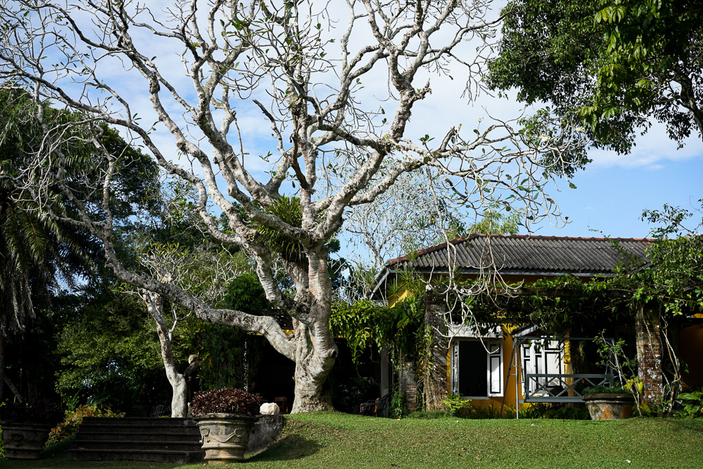 The Brief Garden by Bevis Bawa — Sri Lanka by Ish The Brief Garden by Bevis Bawa — Sri Lanka by Ish